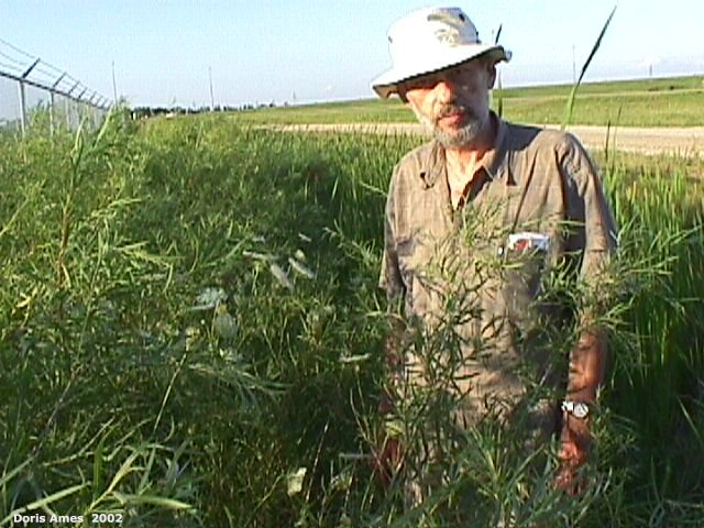 IMG 2002-Jul25 at southeast Winnipeg:  me with hat