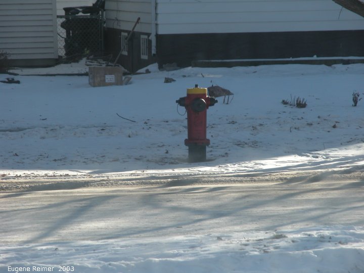 IMG 2003-Jan09 at experiments with my new Nikon 5700 camera:  testing firehydrant optical-zoom