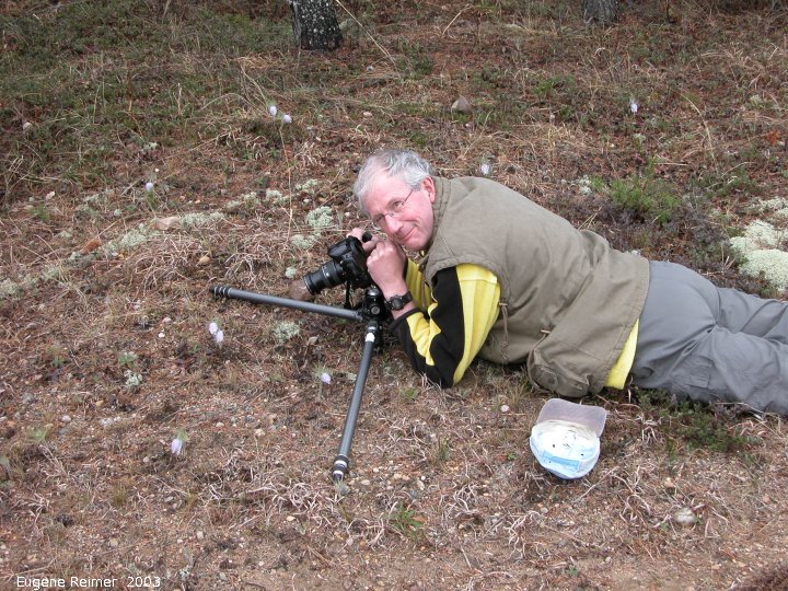 IMG 2003-May10 at Hadashville:  John photographing Prairie crocus (Anemone patens)