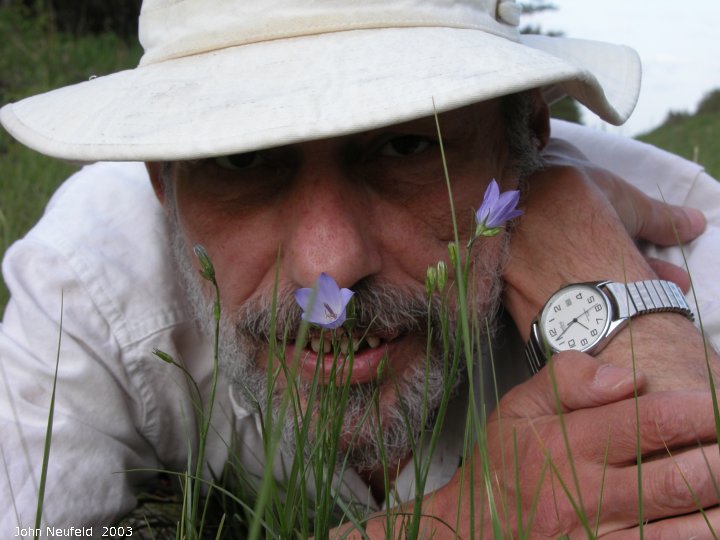 IMG 2003-Jun10 at Woodridge:  cbc-hunt me+Harebell (Campanula rotundifolia)