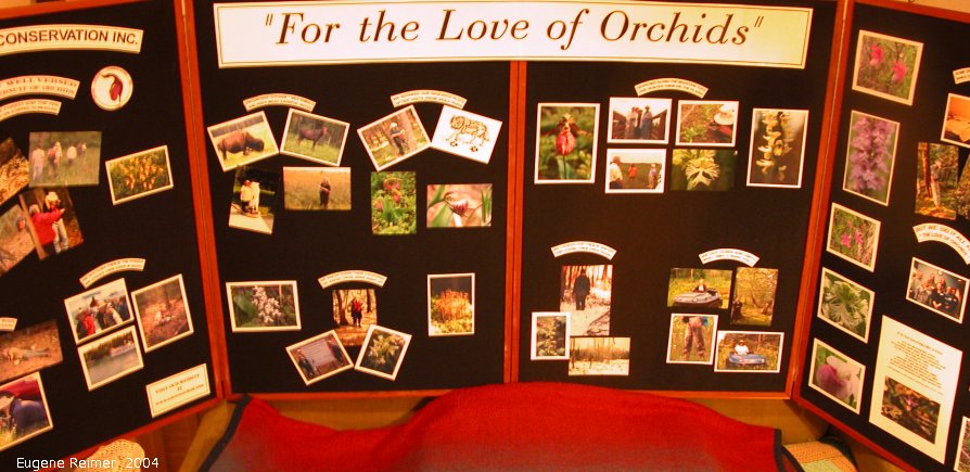 IMG 2004-Mar02 at a new NOCI display:  display-For-Love-of-Orchids overall