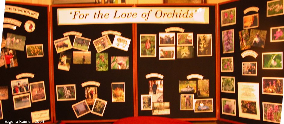 IMG 2004-Mar02 at a new NOCI display:  display-For-Love-of-Orchids overall