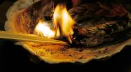 Sweetgrass: braid burning in Abalone-shell