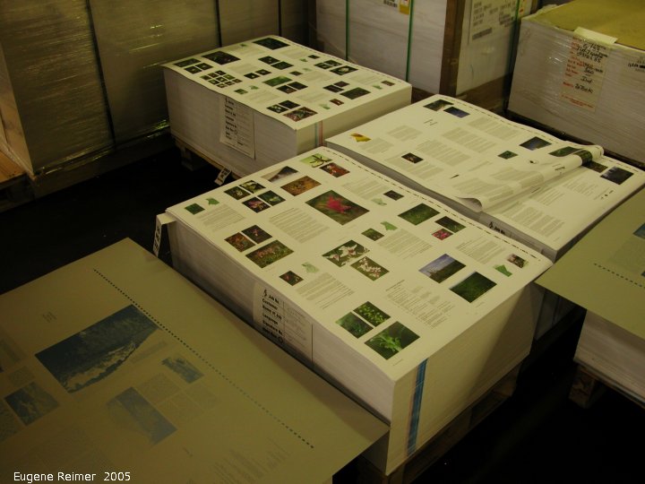 IMG 2005-Jun23 at Kromar Printing:  Kromar signatures 1,2,3, of 5, of our 2000-copy run