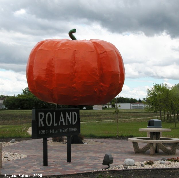 IMG 2008-Jun12 at Roland:  the Roland Pumpkin (Cucurbita sp)