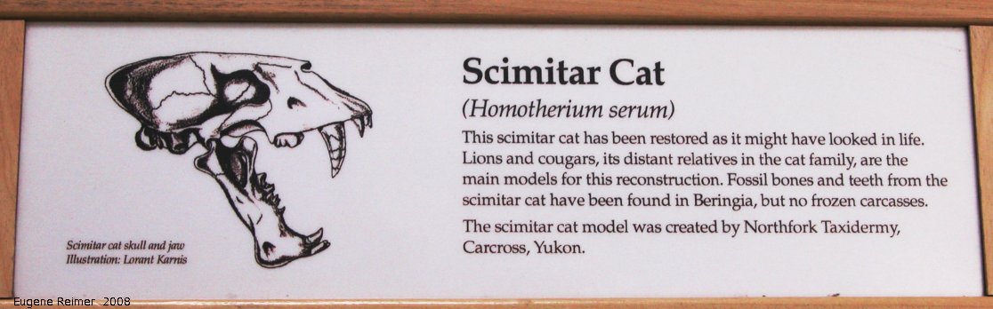 IMG 2008-Jun29 at Whitehorse YT:  sign Scimitar-cat (Homotherium serum)