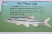 info: on LakeChub adapted to hot-water