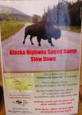 sign: about Bison on Road hazard