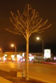 artificial tree: one of the 24-foot-high European-style galvanized steel trees in St-James-Village Biz-zone