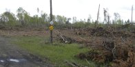 habitat: Contour after blowdown + firewood-harvesting