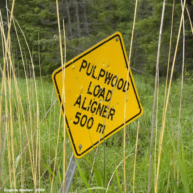 IMG 2009-Jun29 at Trans-License Road (west end):  sign Pulpwood Load Aligner
