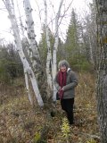 IngridBergmans: with Birch trees