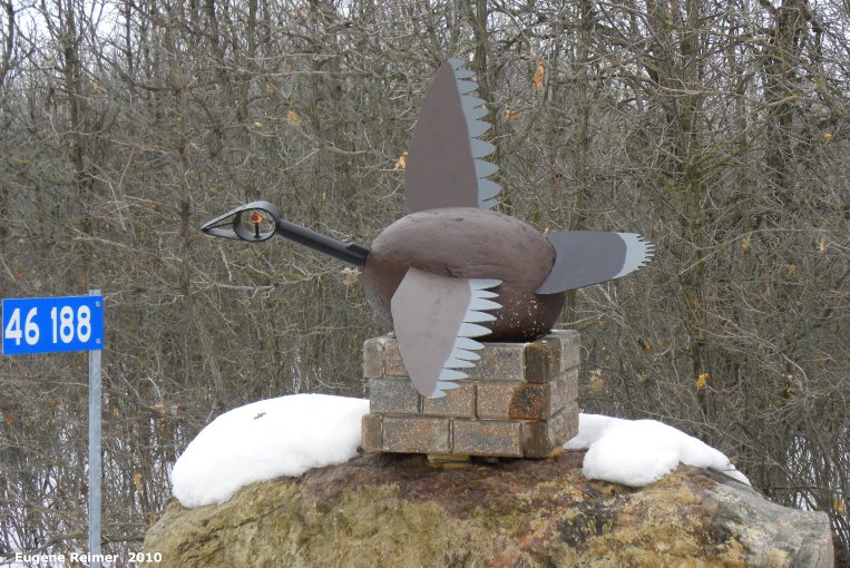 IMG 2010-Mar09 at DawsonRd near Richer MB:  the Canada goose (Branta canadensis) driveway marker
