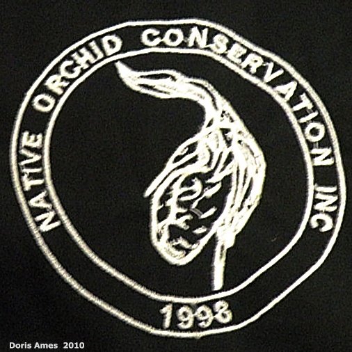 IMG 2010-Apr10 at my house of NOCI jacket:  NOCI jacket closeup of embroidered logo on Black jacket