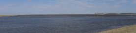 flooded field: with Gull (Laridae sp) many wide lens