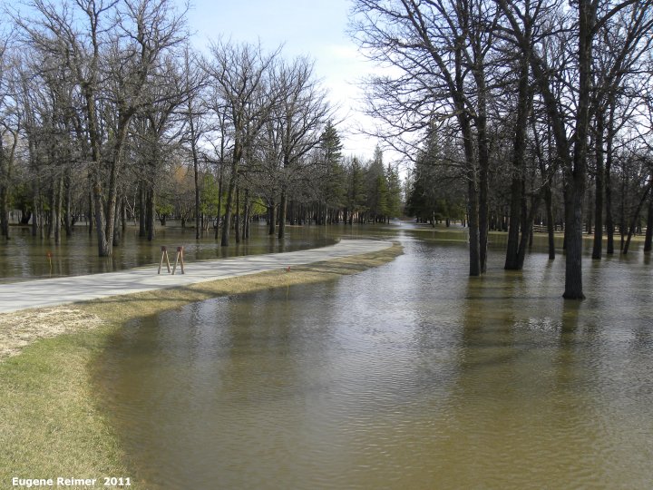 IMG 2011-Apr29 at St-Mary's Rd and SE-Winnipeg or East side of Red River:&nbsp; flood water and a yard