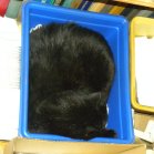 Blackie: in letter-sized recycling bin