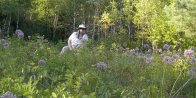 Doris: amid Pink-flowered onion (Allium stellatum)