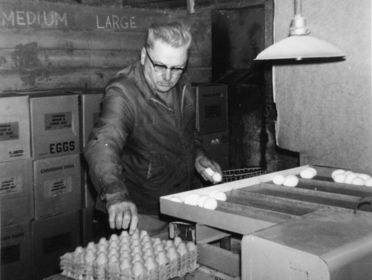 IMG 2006-Jun11 at  h2 Photos collected for the K P L Reimer gathering:  KPL4 05 egg processing 1969jul from:ralph