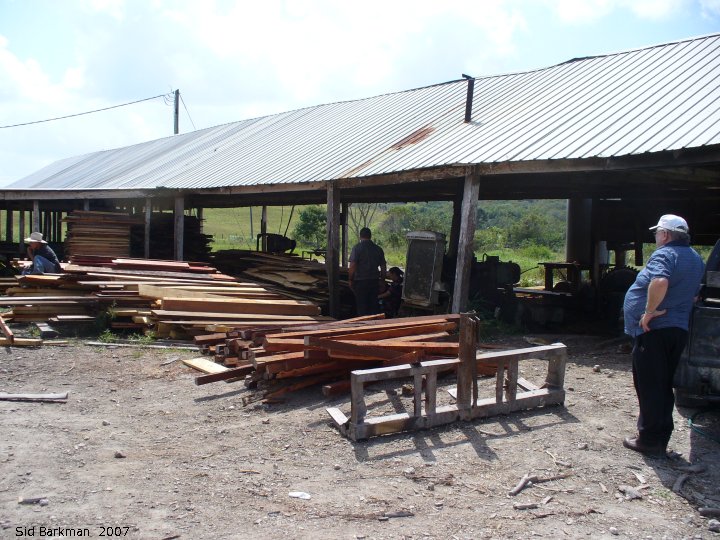 IMG 2007-Feb at Belize:  Belize sawmill
