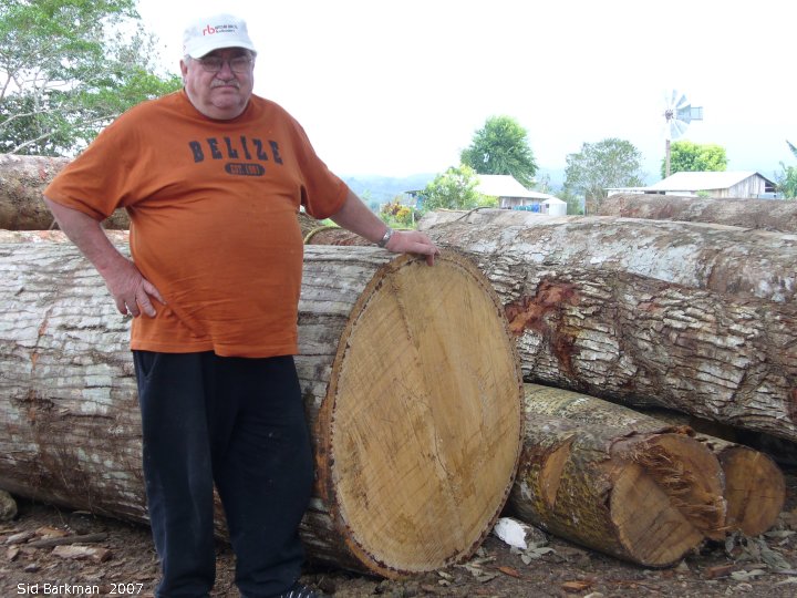 IMG 2007-Feb at Belize:  Belize Gordon Krentz and a big log