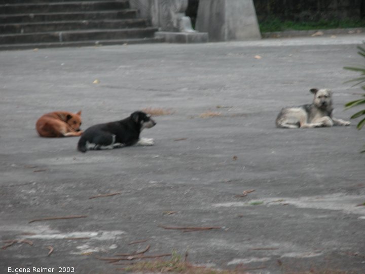 IMG 2003-Feb02:&nbsp; Taiwan