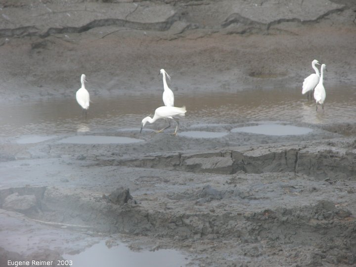 IMG 2003-Feb06:&nbsp; Taiwan