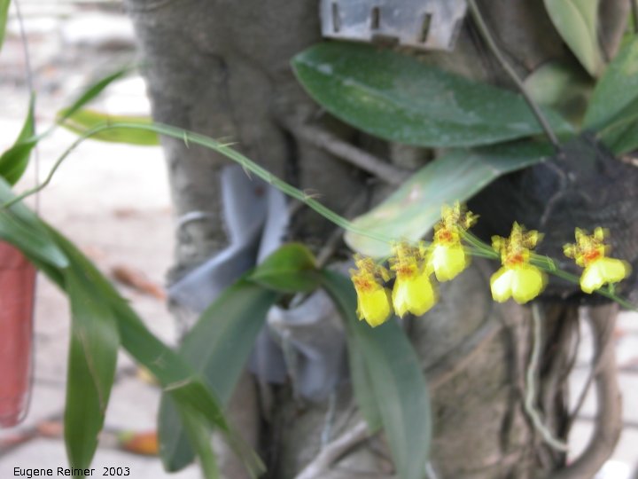 IMG 2003-Feb16:&nbsp; Taiwan