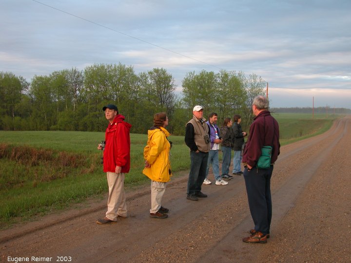 IMG 2003-May16 at WalkinshawPlace near Boissevain:&nbsp; birders on road