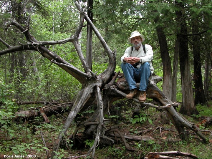 IMG 2003-Jun07 at BirdsHillPark:  me on upturned-tree-roots