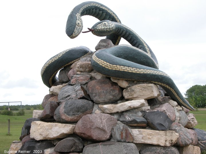 IMG 2003-Jun09 at MarbleRidge near FisherBranch:  the Inwood Snake (Serpentes sp)