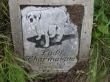 tombstone: in pet cemetery