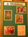 display-Monarch+Milkweed: panel-3