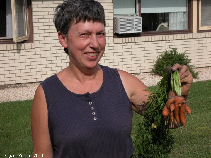 IMG 2003-Aug23 at Steinbach:  Iris with quirky Carrot (Daucus carota) roots
