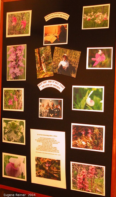 IMG 2004-Mar02 at a new NOCI display:  display-For-Love-of-Orchids panel-4