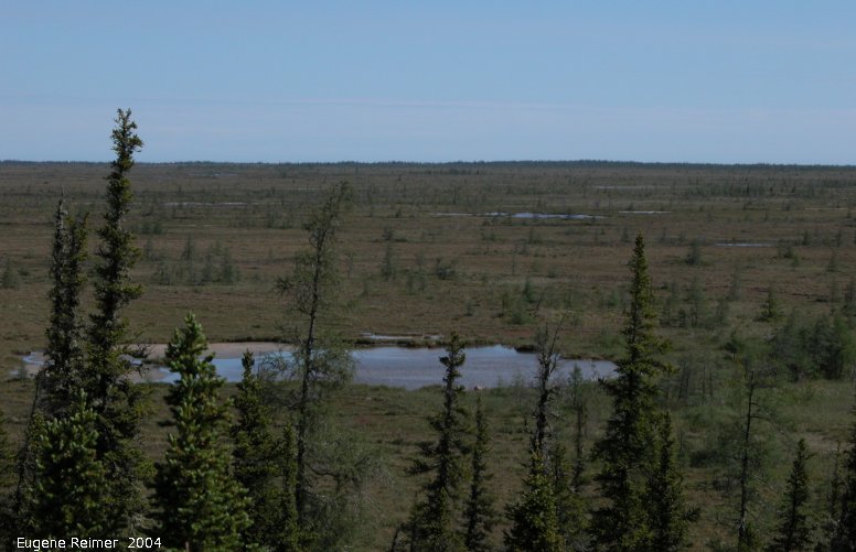 IMG 2004-Jul16 at hike near EastTwinLake:  tundra from overlook