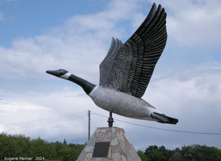IMG 2004-Jul22 at Arden+Lundar (town-icons):  the Lundar Canada goose (Branta canadensis)
