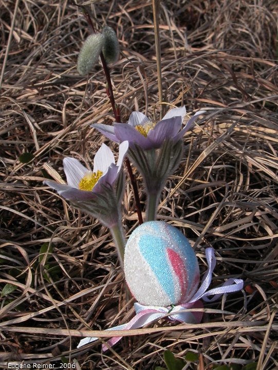 IMG 2006-Apr15 at Hadashville:  symbols of Easter