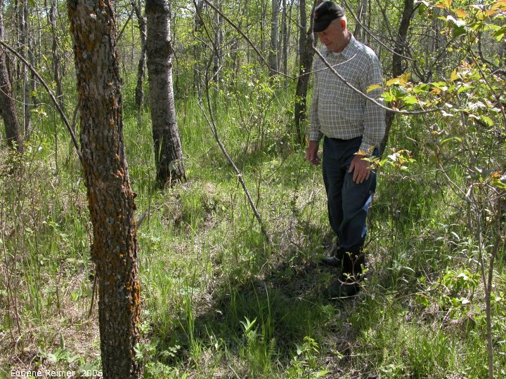 IMG 2006-May19 at Woodlands:  habitat Ted Simonson and Showy ladyslipper (Cypripedium reginae) habitat on his place