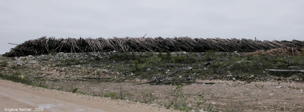 IMG 2006-May28 at Ochre Lake Rd N of GrandRapids:  logs large pile of skinny logs