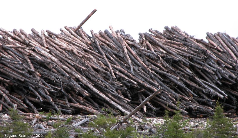 IMG 2006-May28 at Ochre Lake Rd N of GrandRapids:  logs large pile of skinny logs closer