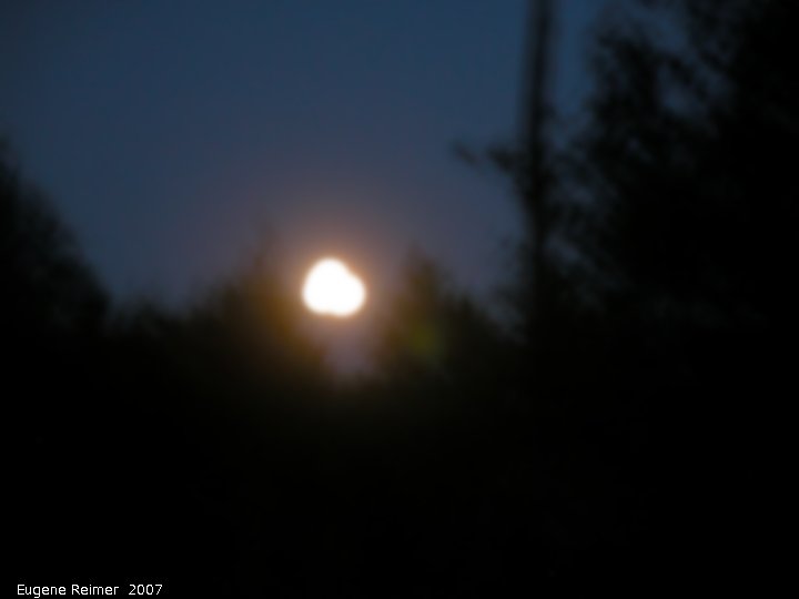 IMG 2007-Jun29 at Calopogon-Bog on PR308:  Moonrise