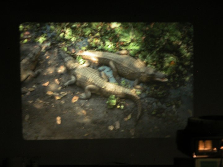 IMG 2007-Oct26 at NOCI Members Night:&nbsp; NOCI-MN-2007 slideshow by Rose