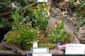 Manitoba Orchids: Lorne and Joan Heshka display