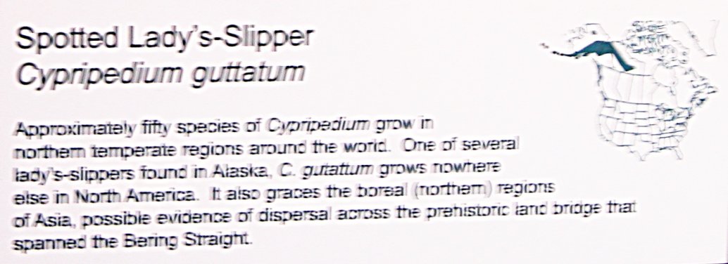 IMG 2008-Mar30 at MOS Orchid-Show:&nbsp; NOC-display example of yank-centric blindness