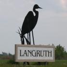 the: Langruth Heron