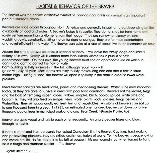 IMG 2008-Jun25 at Beaverlodge AB:&nbsp; the Beaverlodge Beaver (Castor canadensis) historical-info part-2