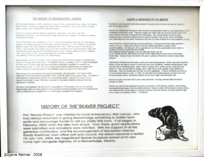 IMG 2008-Jun25 at Beaverlodge AB:  the Beaverlodge Beaver (Castor canadensis) historical-info sign
