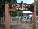 sign-forest: in WatsonLake