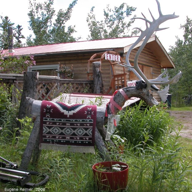 IMG 2008-Jun29 at Lake Laberge YT:&nbsp; the Lake Laberge Caribou (Rangifer tarandus) sculpture at Moms Bakery